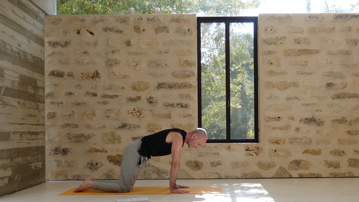 המסע לעבר עמידת ידיים חופשית- הגה כפות הידיים